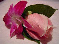 Boutonniere