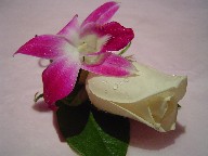 Boutonniere