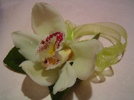 Corsage