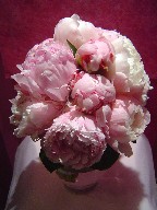 Bride bouquet