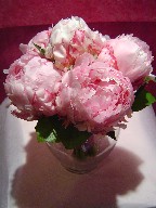 Bridesmaid bouquet