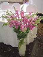 Head table arrangement