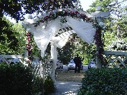 Wedding arch decorations