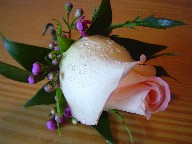 Boutonniere