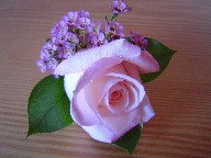 Boutonniere