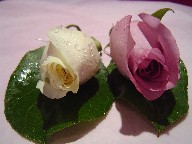 Boutonnieres