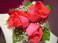 Flower girl arrangenment