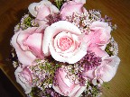 Titanic roses and lilac