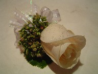 Rose and sedum