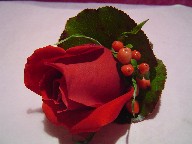 Rose, galax, and berries