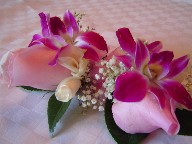 Rose and orchid