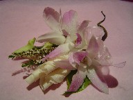 Orchid and rose petals