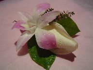 Orchid and rose