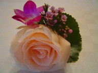 Rose, orchids, and waxflowers