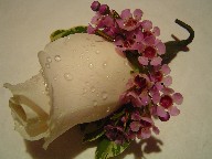 Rose and waxflowers