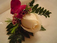 Rose, orchids, and waxflowers