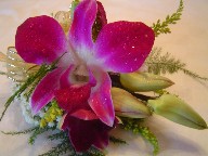Orchids, solidago, and baby's breath