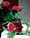 Monstera, anthrium, roses, lisianthus and carnations