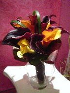 Mango and chocolate calla lillies, monkey grass, galax, and cordeline