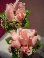 Roses and waxflowers