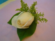 Rose and solidago