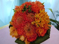 Protea, alstroemeria, asclepia, celosia, beans, roses, monkara orchids, and aspedestra