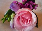 Rose, fresia, statice, and orchids