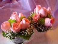 Pekcoubo roses, pom pom, and galax leaves