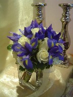 Iris, roses, and variegated pitt