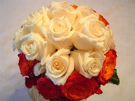 Vendela and flamenco roses