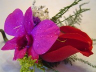 Orchid, rose, and solidago