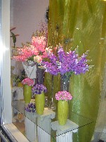 May 2007