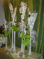 November 2009