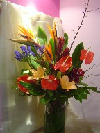 Anthurium, bird of paradise, agapanthus, eucadendron, lillies, cymbidium orchid, pussy willow, and greens
