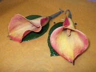 Boutonnieres