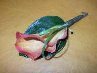 Boutonniere